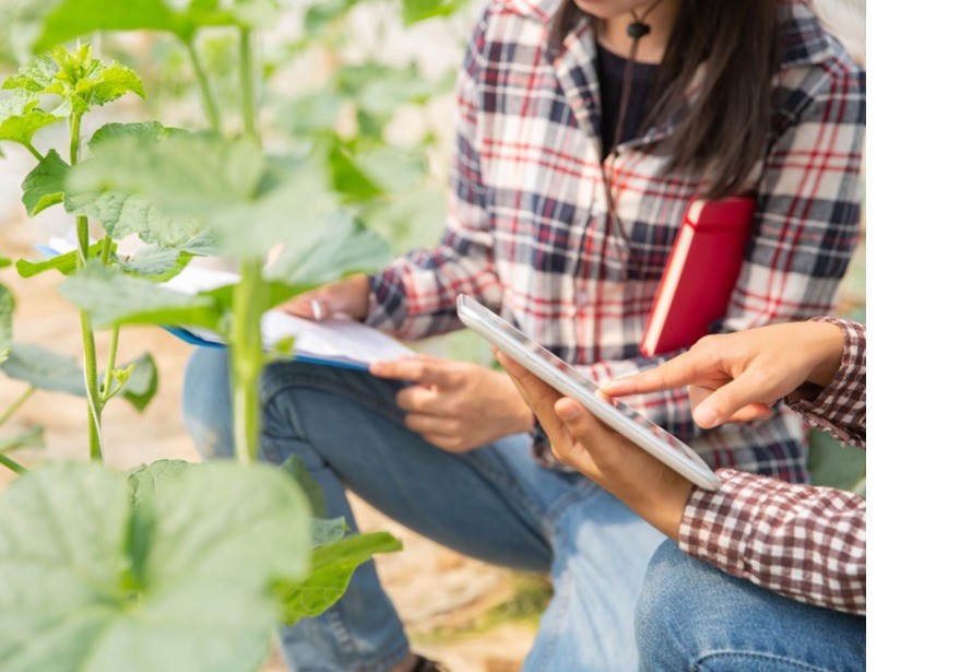 El Ministerio de Agricultura, Pesca y Alimentación abre la inscripción de la séptima edición del curso de emprendimiento en el medio rural