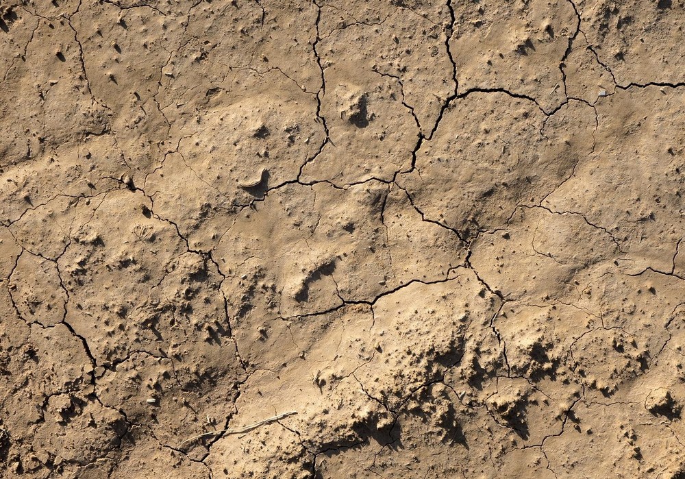 El grupo de trabajo evalúa la situación de la sequía y las medidas adoptadas en marzo por el Gobierno