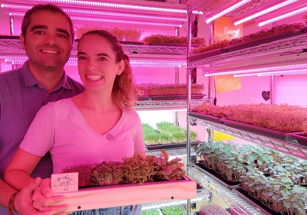 Pedro Antonio García, máster en I+D Agroalimentario: «Los microvegetales multiplican aroma, sabor y nutrientes»