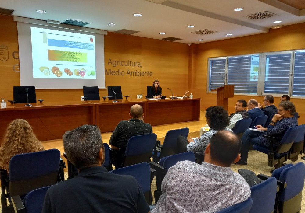 La producción de cítricos en la Región caerá un 13,6 por ciento por el aumento de los costes de producción y las inclemencias meteorológicas