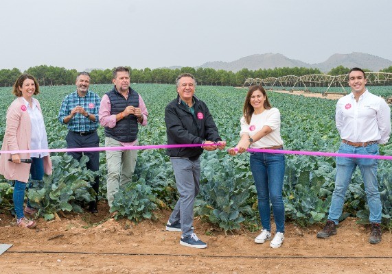 Roberto Brasero inaugura la campaña de brócoli de invierno
