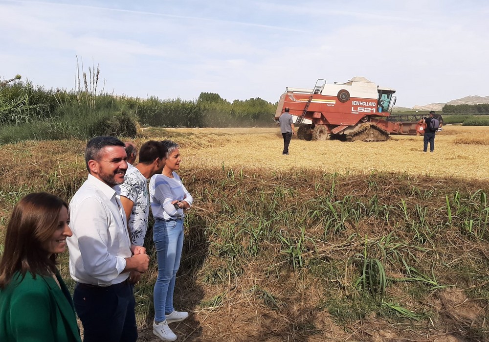 El 20 por ciento de la producción de arroz de Calasparra se destina a la exportación y Estados Unidos es el principal destino