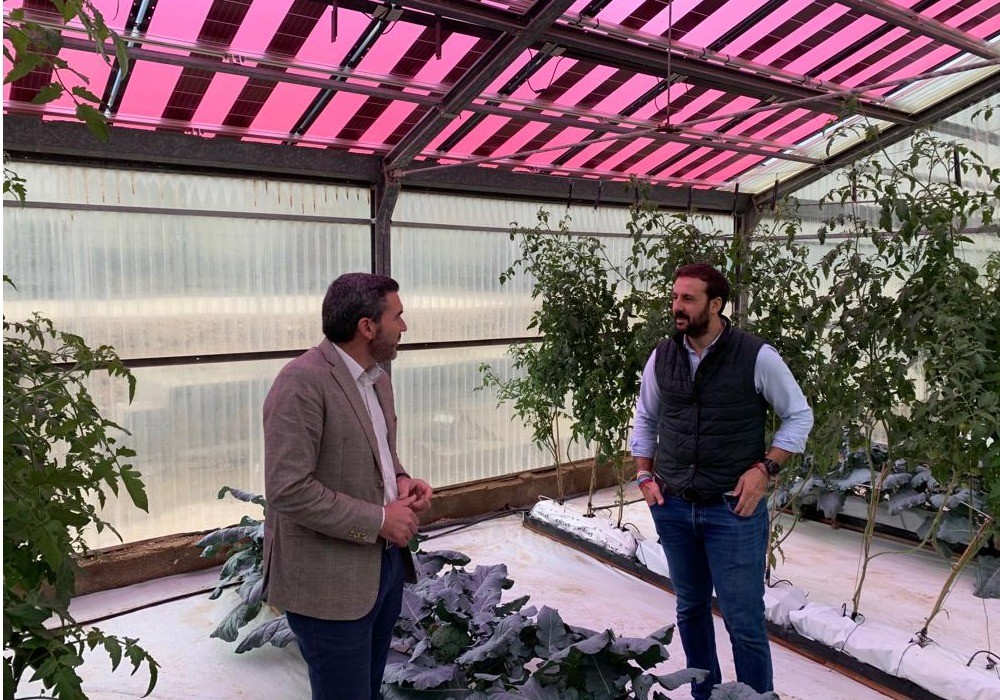 La Comunidad respalda el uso de placas fotovoltaicas en invernaderos para avanzar en la eficiencia energética del sector agrario
