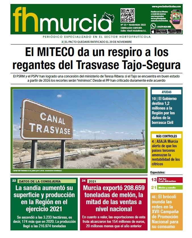 Nº23- Noviembre 2022