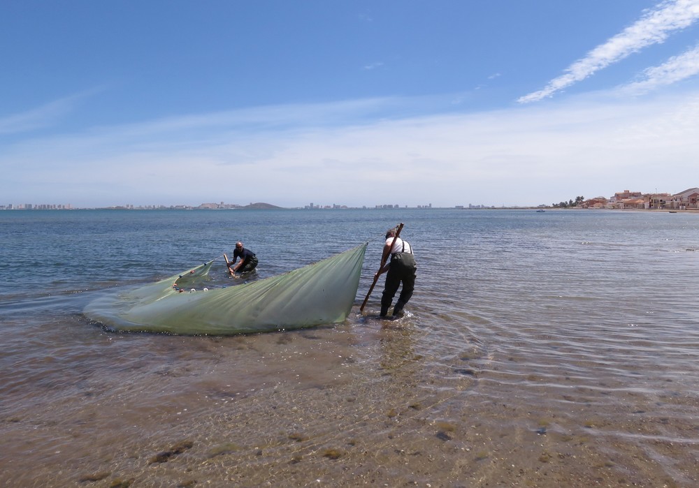 El MITECO ejecuta en diez meses 40 millones de euros del Marco de Actuaciones Prioritarias para Recuperar el Mar Menor