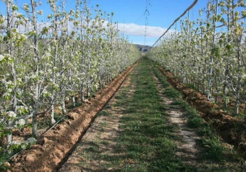 El IMIDA obtiene más de 1,1 millones para desarrollar proyectos de I+D+i para la transición sostenible y digital del sector agro