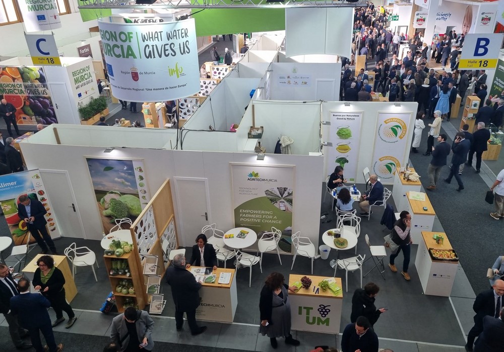 La Comunidad prepara ya actuaciones para el sector hortofrutícola en EEUU, Países Bajos y Oriente Medio