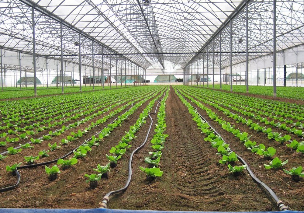 VitalFluid aterriza en Murcia para ayudar al control del agua y mejorar la producción agrícola