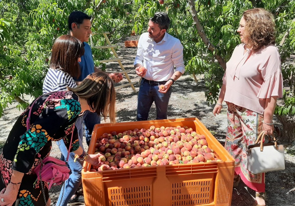  La Indicación Geográfica Protegida del ‘Melocotón de Cieza’ obtiene la aprobación definitiva de la Unión Europea