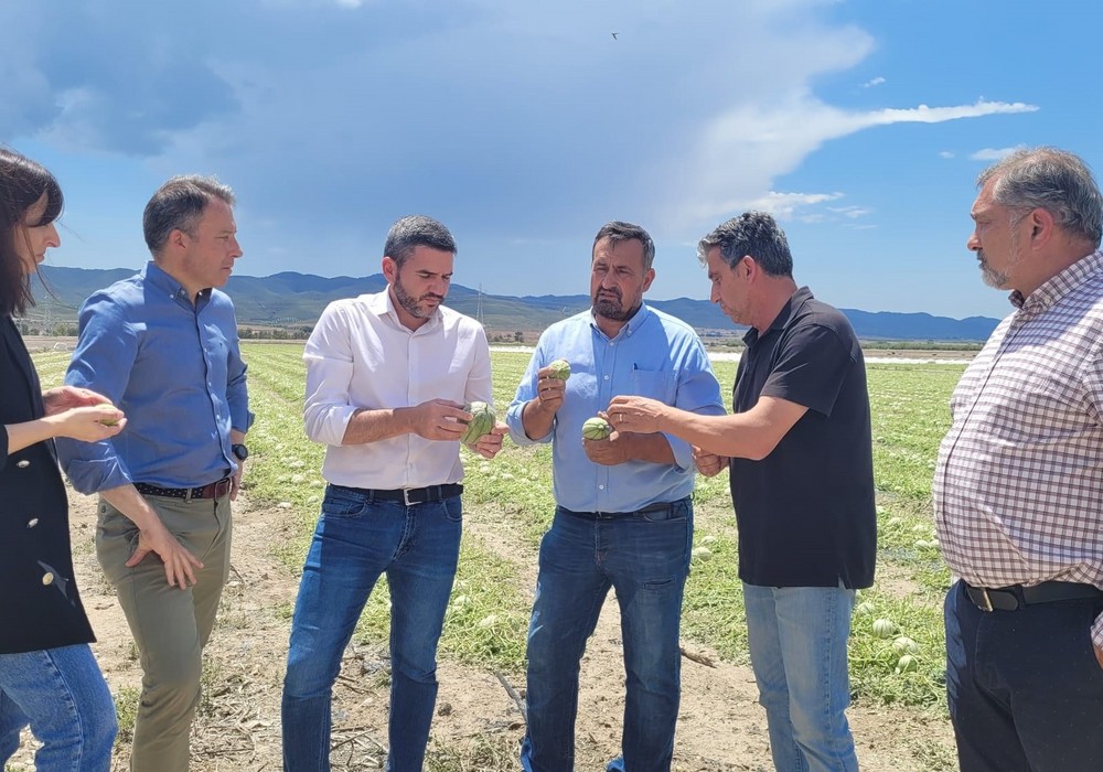 El Gobierno regional exige al central un cambio del modelo de seguro “que sea útil y contemple las singularidades de nuestro sector agrario”