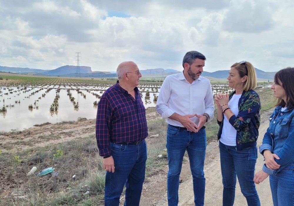 El Gobierno regional pide una reunión urgente al ministro de Agricultura para hacer frente a los daños provocados por las tormentas