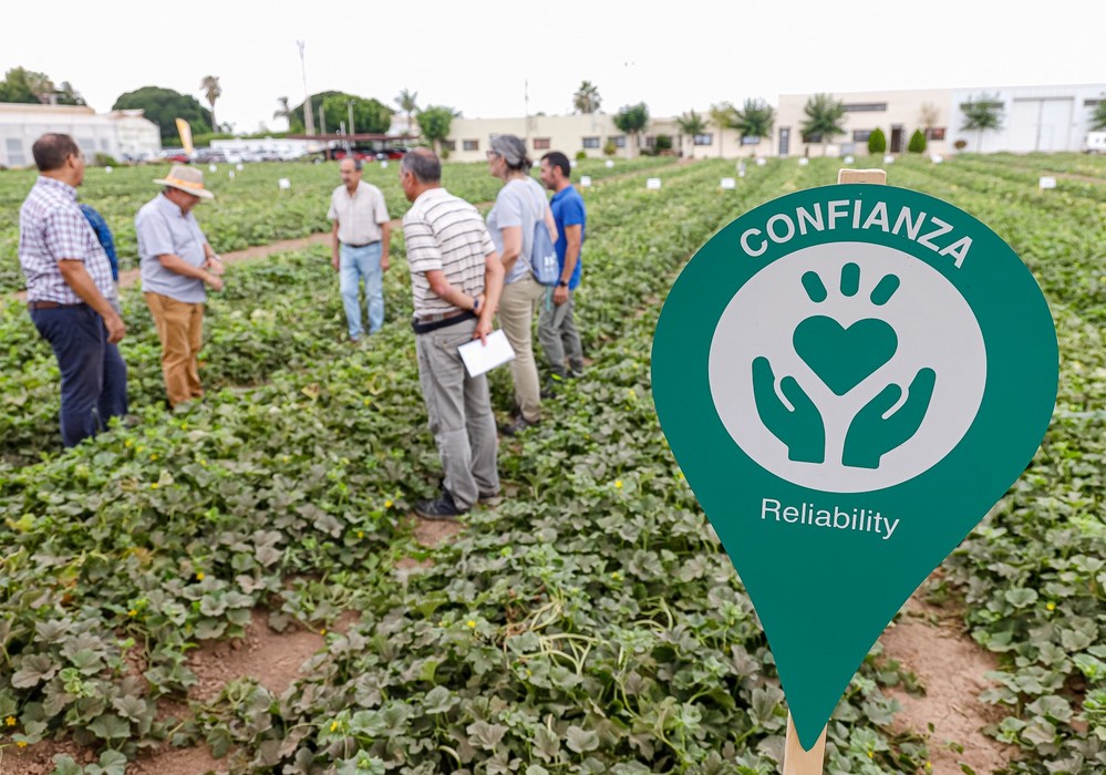 BASF dibuja la hoja de ruta para satisfacer al consumidor de melón y sandía