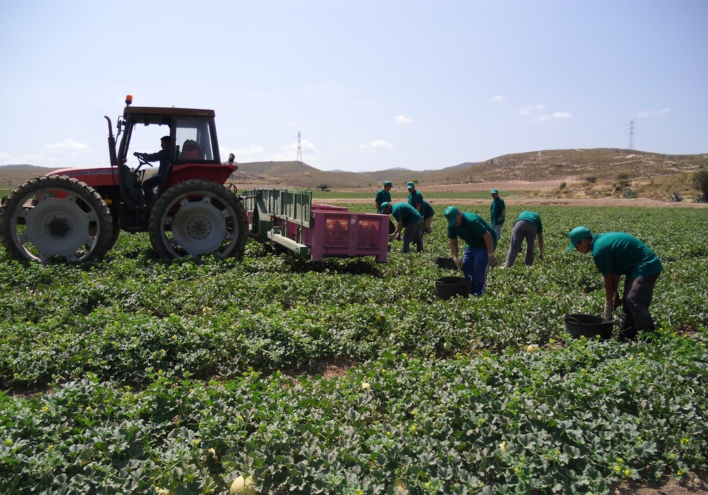 Empresas de Proexport activan las medidas de prevención y vigilancia de la salud por la ola de calor