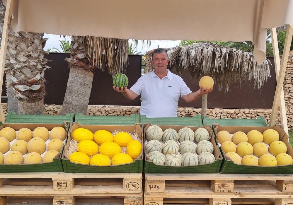 Semillas Fitó completa ciclo en microsemilla y presenta una nueva sandía rayada y melones con más resistencias