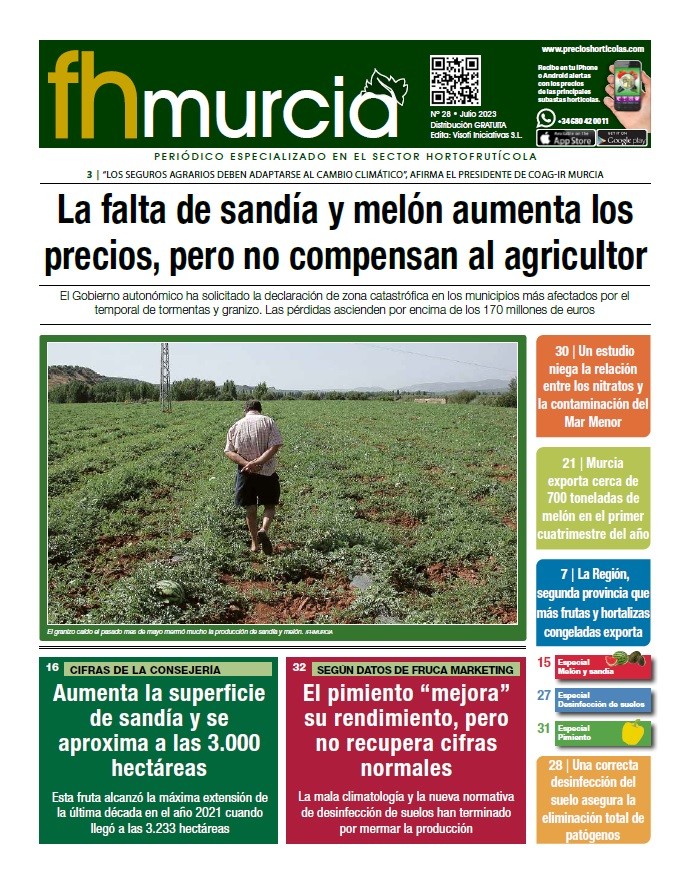 Nº 28- Julio 2023
