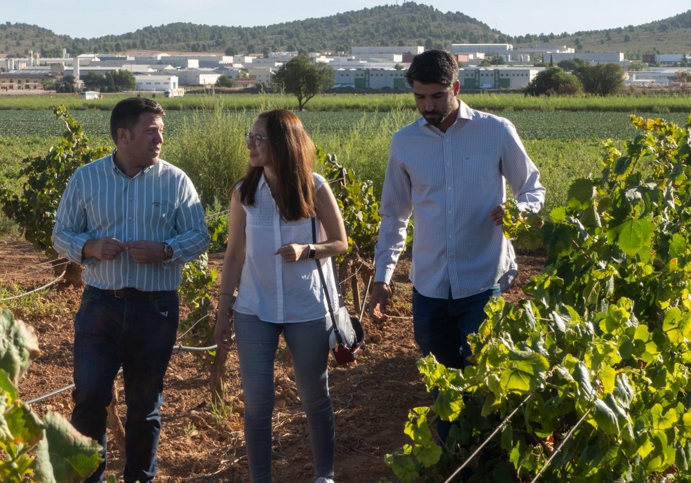  Las ayudas que gestiona el Gobierno regional para jóvenes agricultores y ganaderos pueden solicitarse hasta el día 28 de septiembre