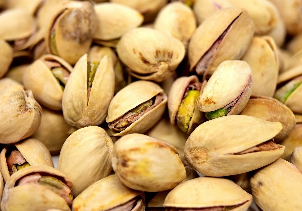 El cultivo del pistacho sigue creciendo en la Región, con 1.439 hectáreas cultivadas el último año y un aumento del 16,8 por ciento