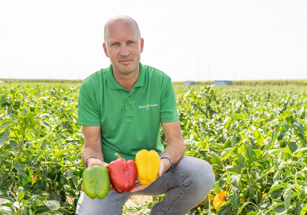 “Ramiro Arnedo amplía su porfolio internacional  en pimiento, berenjena y lechuga”