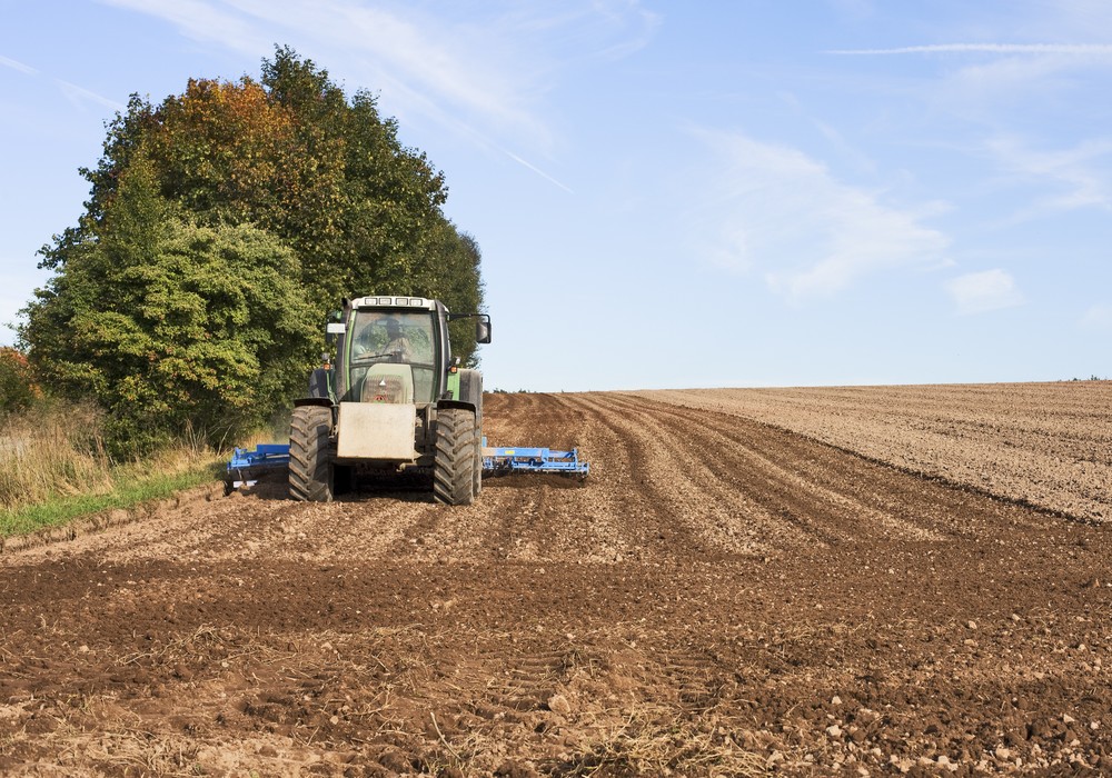 El Ministerio de Agricultura, Pesca y Alimentación analizará el contenido en carbono de los suelos agrícolas de España