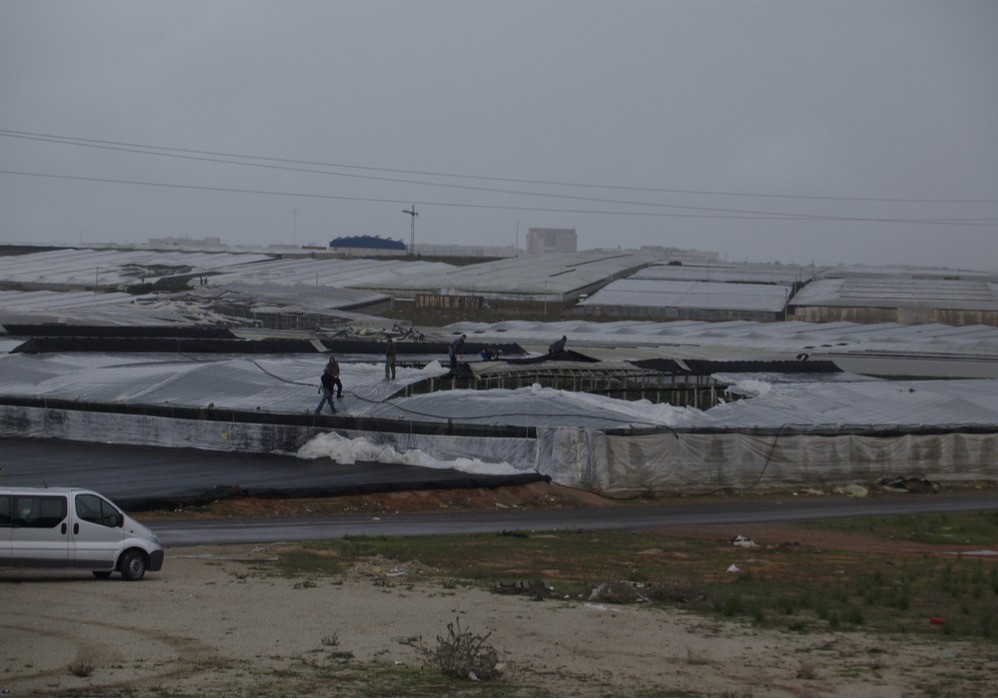 Las primas del seguro agrario para el campo murciano se disparan y dificultan su acceso