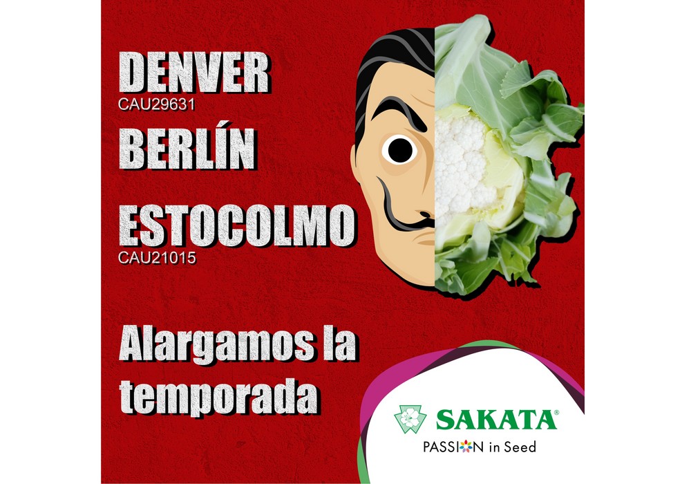 Sakata ‘alarga la temporada’ con cuatro nuevas variedades de coliflor