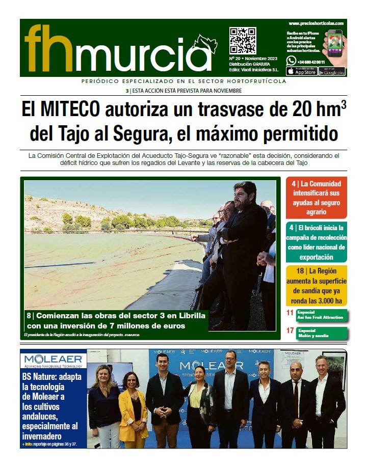 Nº 29- Noviembre 2023