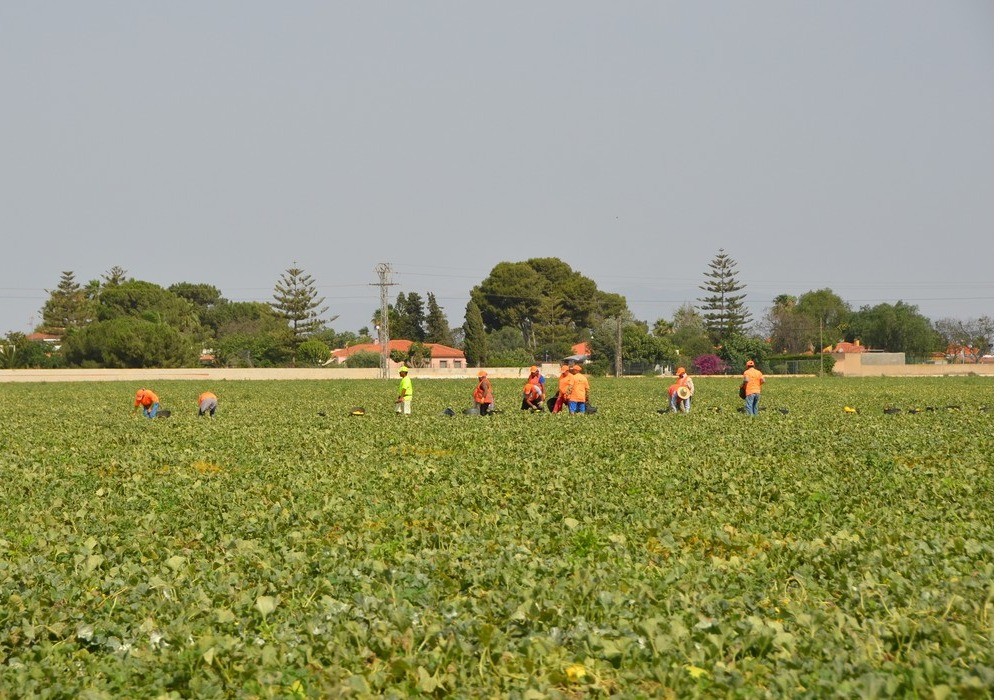  Más de 250 jóvenes se han beneficiado de las ayudas de la última convocatoria del Gobierno regional para incentivar el relevo generacional del campo