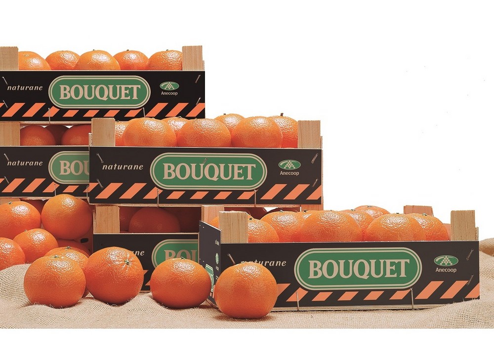 Anecoop reparte 1.250 kilos de mandarinas bouquet en la 10KFEM de Valencia