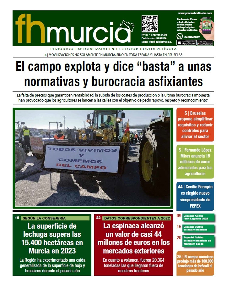 Nº 31- Febrero 2024