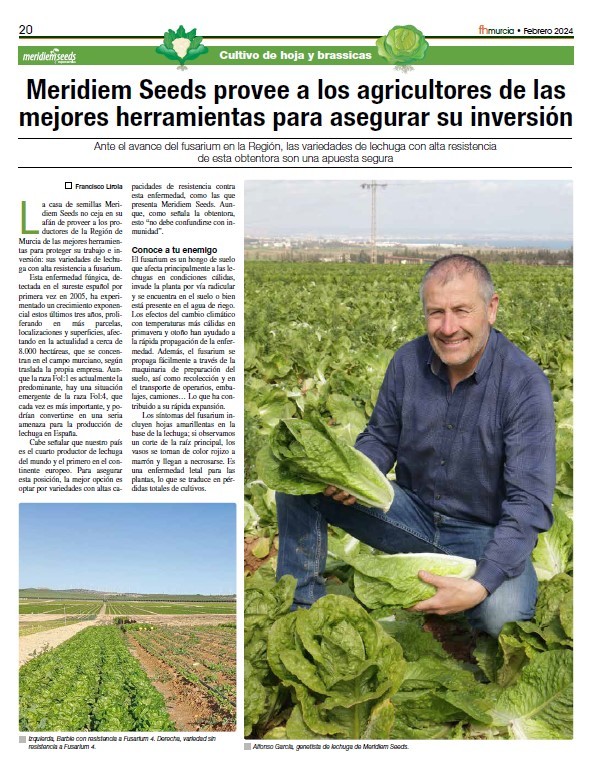 Febrero 2024|| Especial de cultivo y hoja y brassicas de Meridiem Seeds
