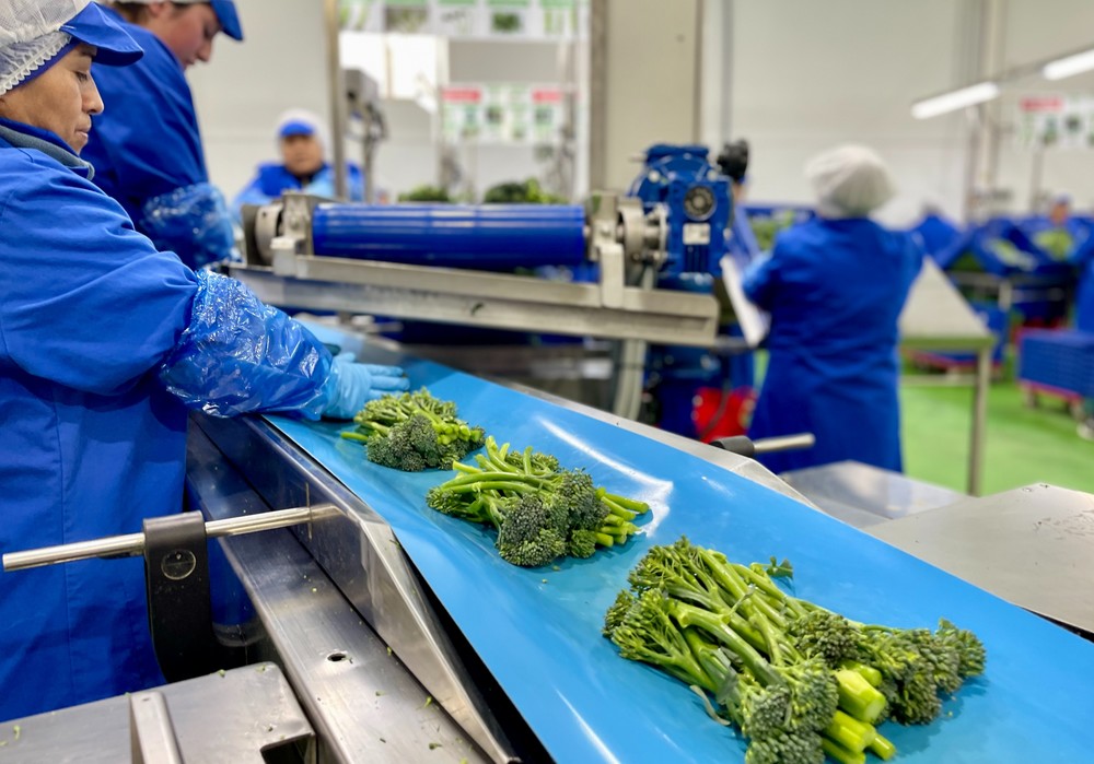 Bimi® Gastro Trip acerca el campo al mundo de la gastronomía