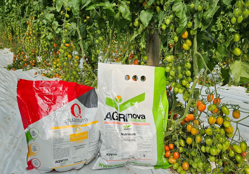 Incrementa la floración y cuajado de tu cultivo con Quantum Flower
