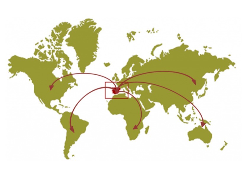 La exportación hortofrutícola española fuera de Europa sigue bajando este año con un 14% menos