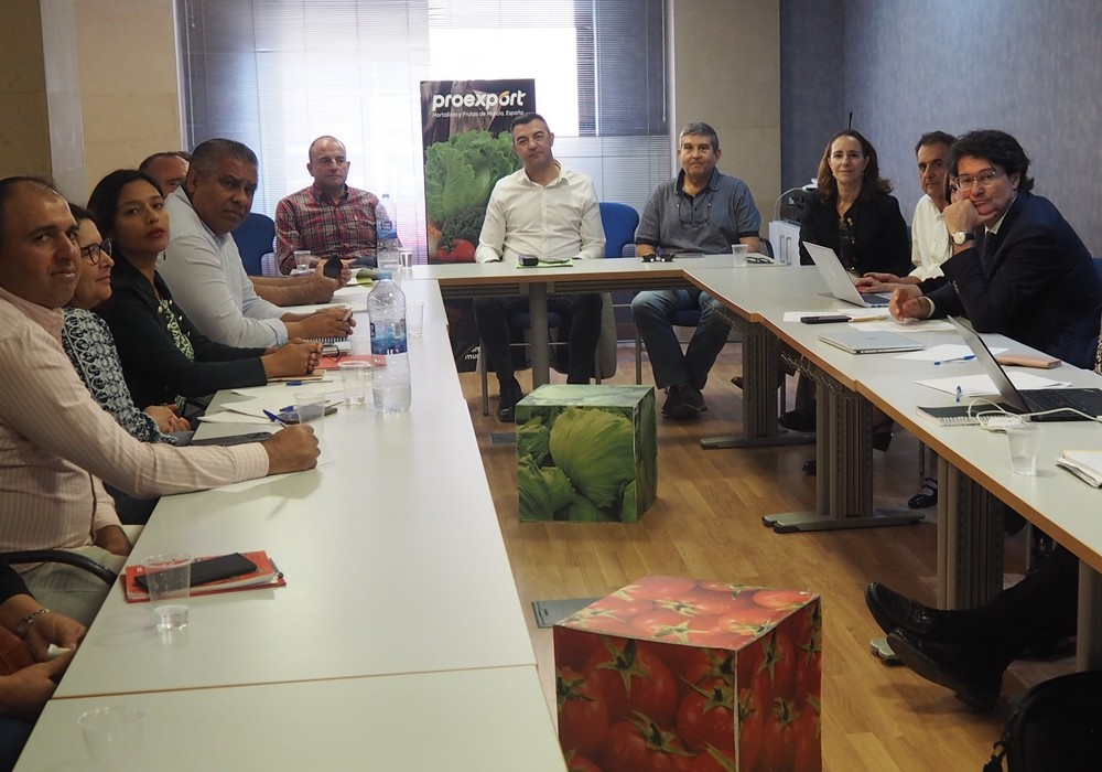 Proexport y sindicatos inician las negociaciones del convenio colectivo “del campo” que regula a 15.000 trabajadores en la Región de Murcia