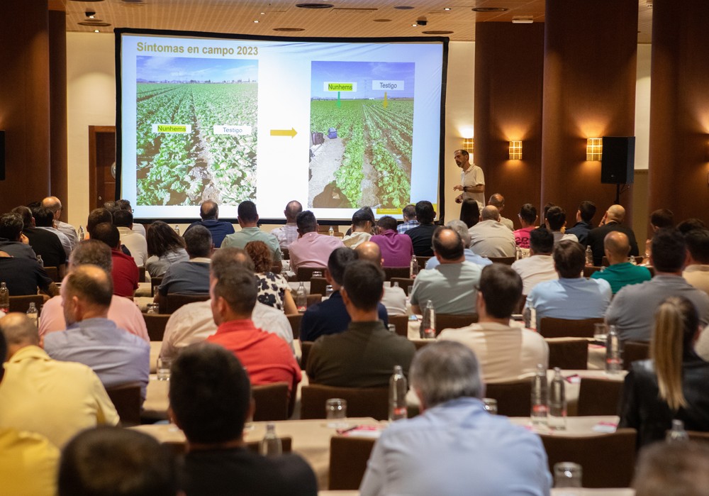 BASF | Nunhems® se alía con los productores de iceberg contra la Bremia y el Fusarium