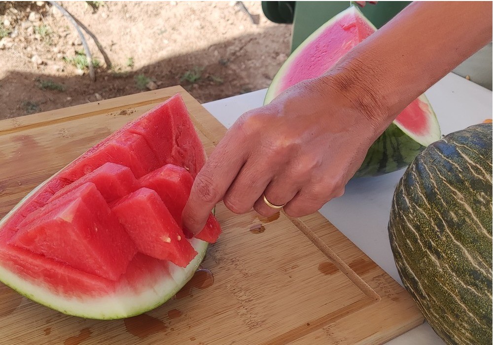 El ministerio y el sector frutícola analizan el inicio de la campaña de fruta de verano