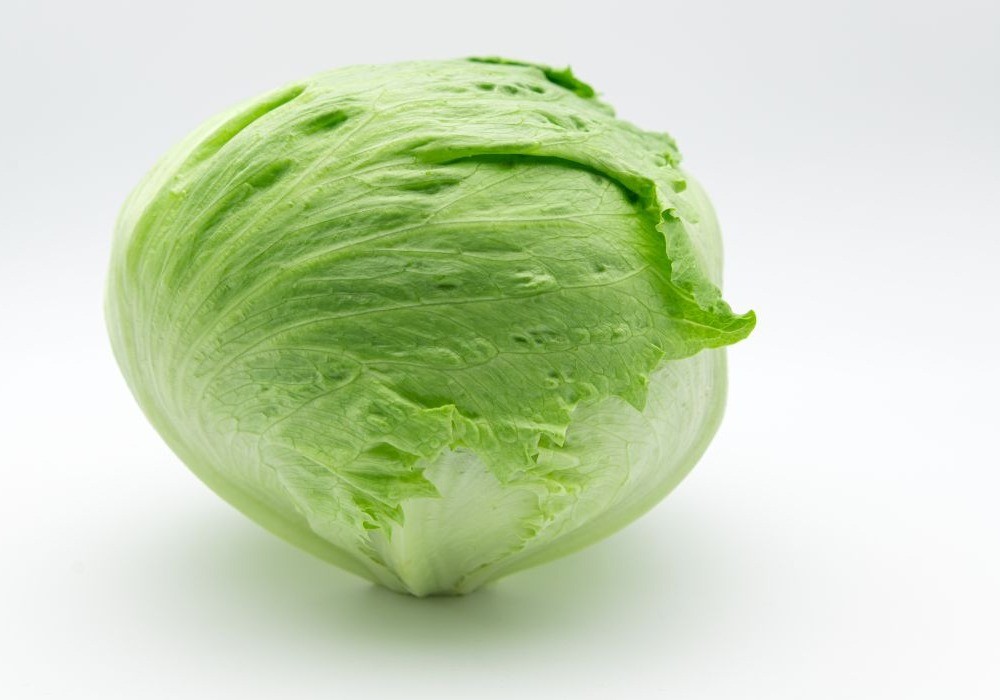 Vilmorin-Mikado refuerza su catálogo de iceberg con Zicatela, Nisida, Kealia e Ice 16181