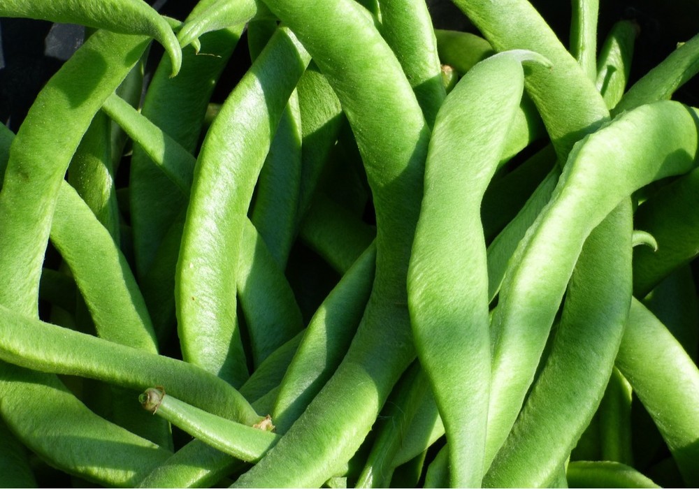 El consumo de frutas y hortalizas frescas en los hogares baja un 14% en los últimos cinco años