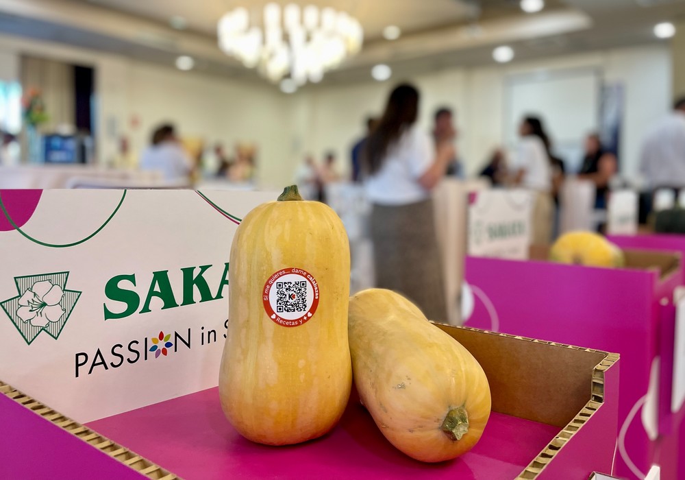 Calabaza nacional 365 días al año, clave para el aumento de consumo y nuevas oportunidades de negocio
