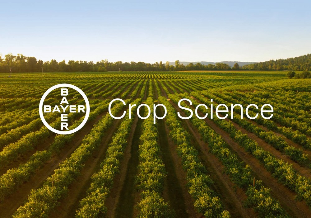 Bayer prueba con éxito el nuevo material compostable de Novamont que elimina el residuo plástico en los cultivos agrícolas