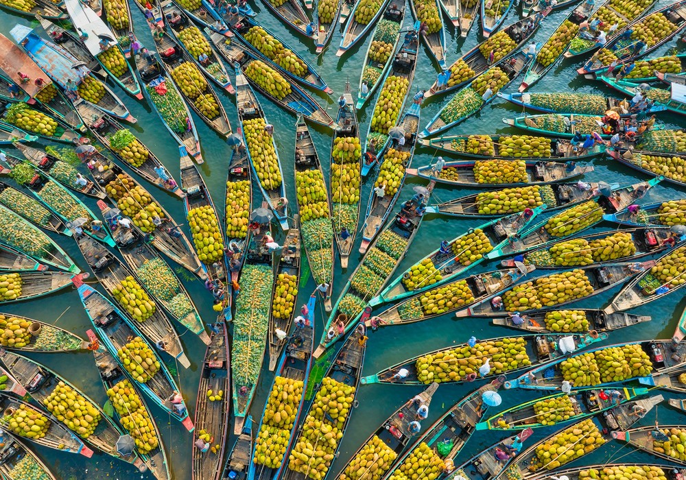 Bimi® se convierte en el nuevo patrocinador de los World Food Photography Awards