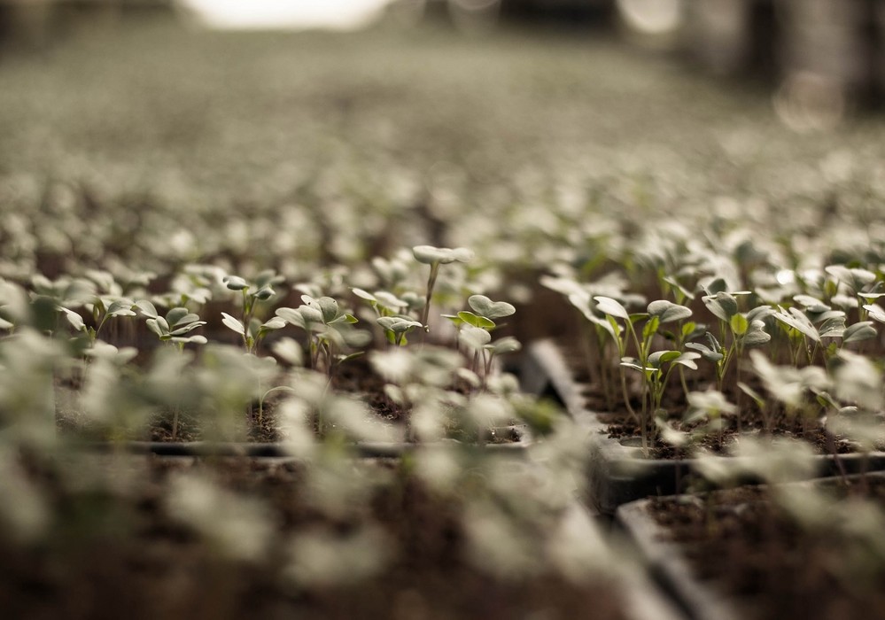 El Ministerio de Agricultura inicia la consulta pública del plan de acción para el uso sostenible de los productos fitosanitarios