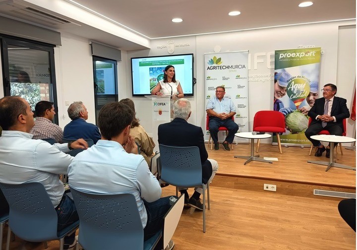 La Región de Murcia lidera la exportación de lechuga con el 65 por ciento del total nacional