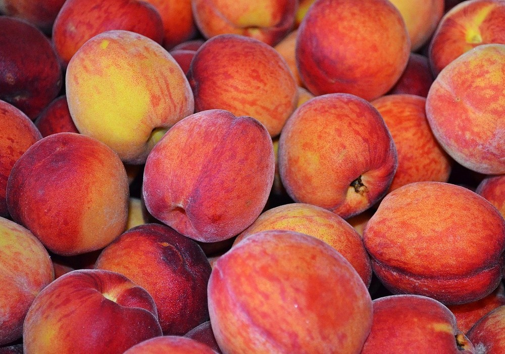 El Ministerio de Agricultura, Pesca y Alimentación analiza con el sector los buenos resultados de la campaña de la fruta de verano