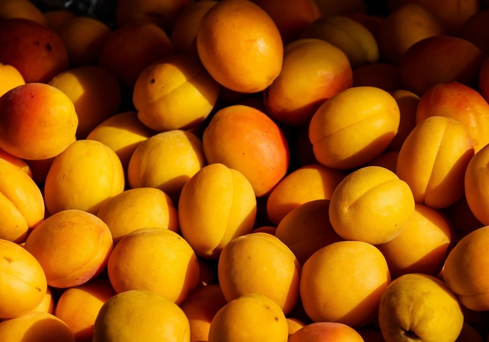 El Ministerio abona casi 1,9 millones de euros de ayuda extraordinaria a 510 nuevos agricultores de frutales y frutos de cáscara