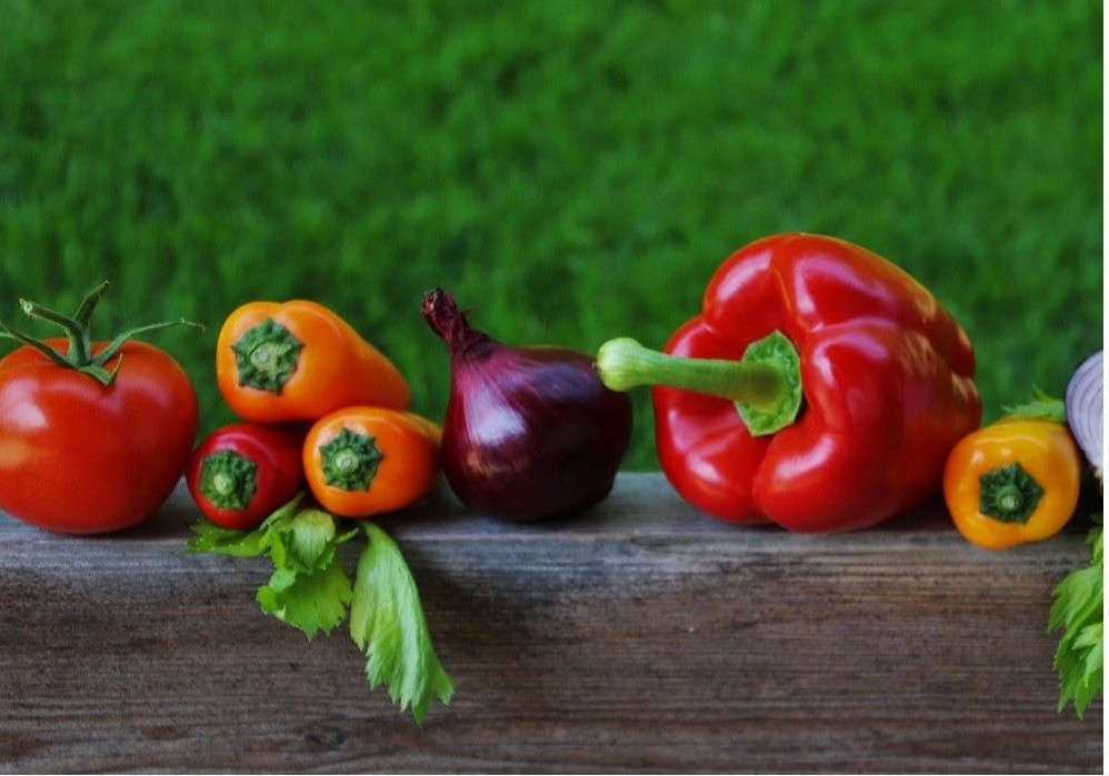 La secretaria de Estado de Agricultura y Alimentación defiende la importancia del sector ecológico en España, “estratégico y prioritario”