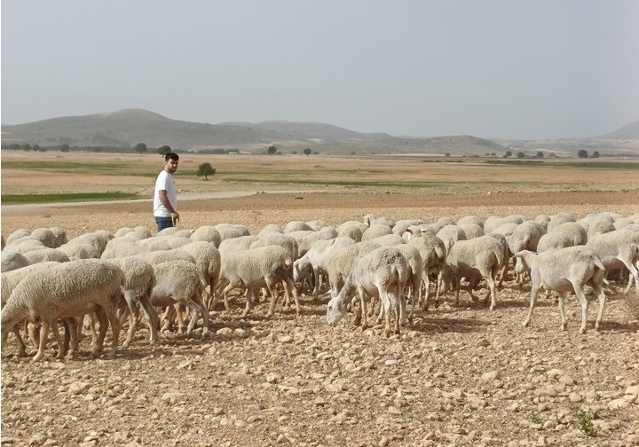 La Comunidad comienza a abonar más de 18,3 millones por el adelanto de las ayudas de la Política Agraria Común