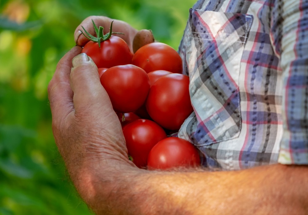 España, Francia, Italia y Portugal impulsarán las cláusulas espejo para asegurar la competitividad hortofrutícola