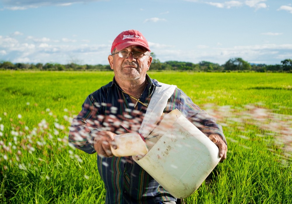 El Ministerio de Agricultura, Pesca y Alimentación destina más de 1,5 millones de euros a 1.060 explotaciones agrarias de titularidad compartida