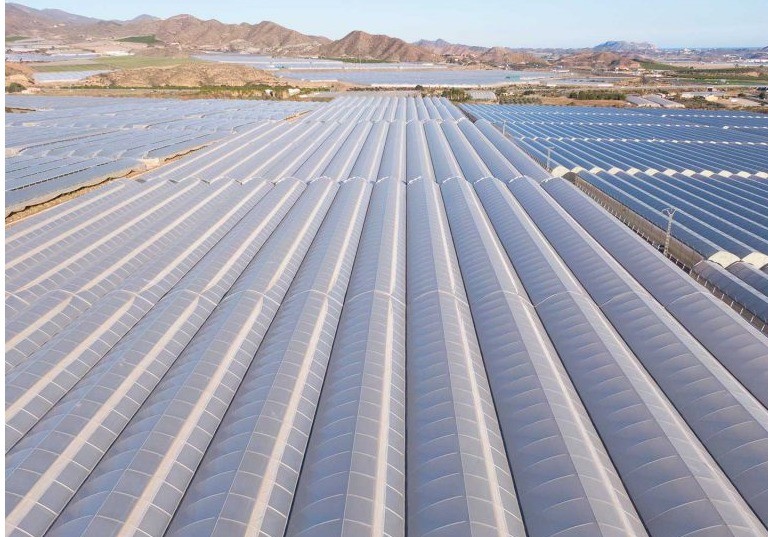 Las empresas de AgritechMurcia demuestran en los foros internacionales que la innovación en biotecnología aporta seguridad alimentaria, eficiencia en la producción agraria y sostenibilidad